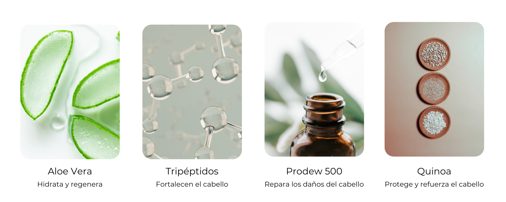 ingredientes productos Cure ICON